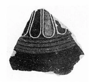 JUG, FRAGMENT (CORINTHIAN)