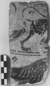 FRAGMENT (ATHENIAN, BLACK-FIGURE)