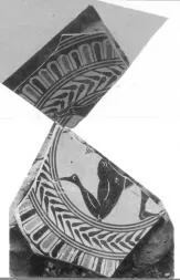 CUP, SIANA, FRAGMENT (ATHENIAN, BLACK-FIGURE)