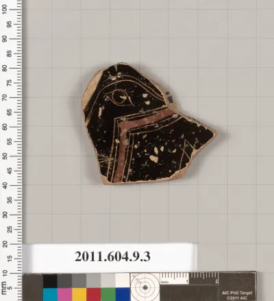 Terracotta fragment of a kylix (drinking cup)