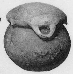 URN (VILLA NOVA)