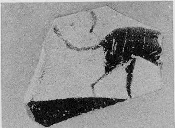 CUP, LITTLE MASTER BAND, FRAGMENT (ATHENIAN, BLACK-FIGURE)