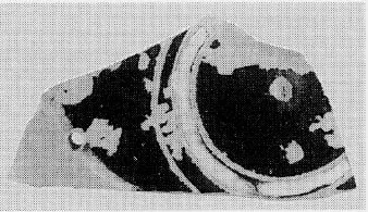 CUP, FRAGMENT (ATHENIAN, BLACK-FIGURE)