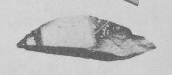 AMPHORA, NECK, FRAGMENT (ATHENIAN, BLACK-FIGURE)