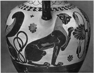 AMPHORA, NECK (CHALCIDIAN, BLACK-FIGURE)