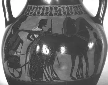 AMPHORA, BELLY, TYPE B (ATHENIAN, BLACK-FIGURE)