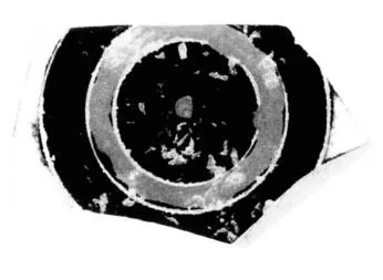 CUP, FRAGMENT (ATHENIAN, BLACK-FIGURE)