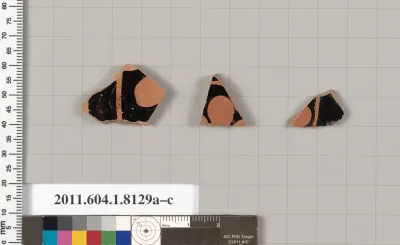 Terracotta fragments of kylikes (drinking cups)