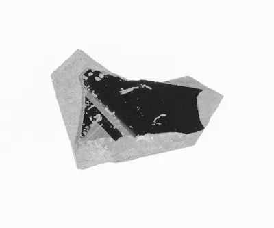 Attic Black-Figure Amphora Fragment