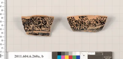 Terracotta fragments of an amphora (jar)?