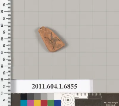 Terracotta fragment of a kylix (drinking cup)