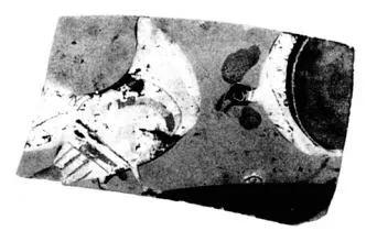 CUP, LITTLE MASTER BAND, FRAGMENT (ATHENIAN, BLACK-FIGURE)