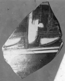 FRAGMENT (ATHENIAN, BLACK-FIGURE)
