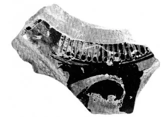 LOUTROPHOROS, FRAGMENTS (ATHENIAN, RED-FIGURE)