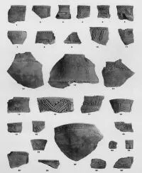VARIOUS (VUCEDOL)