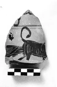 AMPHORA, NECK, FRAGMENT (ATHENIAN, BLACK-FIGURE)
