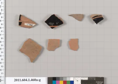 Terracotta fragments of kylikes (drinking cups)
