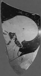 AMPHORA, NECK, FRAGMENTS (ATHENIAN, RED-FIGURE)