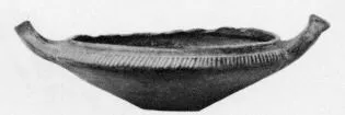 DISH (VEIAN)