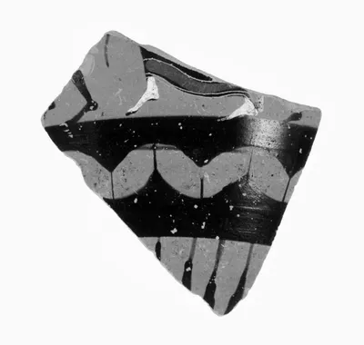 Attic Black-Figure Nicosthenic Amphora Fragment