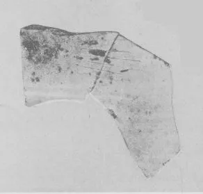 SITULA, FRAGMENT (EAST GREEK, OUTLINE)