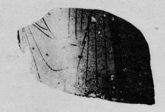 LOUTROPHOROS, FRAGMENT (ATHENIAN, RED-FIGURE)