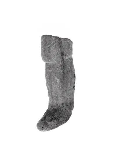 Fragment of a Figure: Leg
