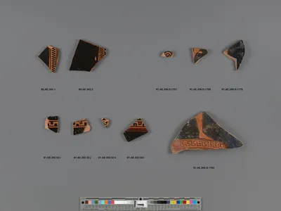 Attic Red-Figure Kalpis Fragments