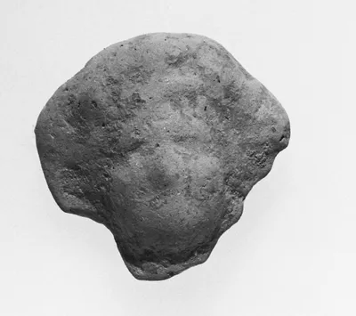 Female Head