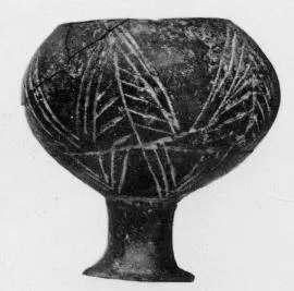 CUP (VILLA NOVA)