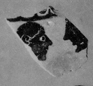 AMPHORA, NECK, FRAGMENT (ATHENIAN, BLACK-FIGURE)
