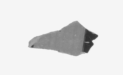 Attic Black-Figure Amphora Fragment