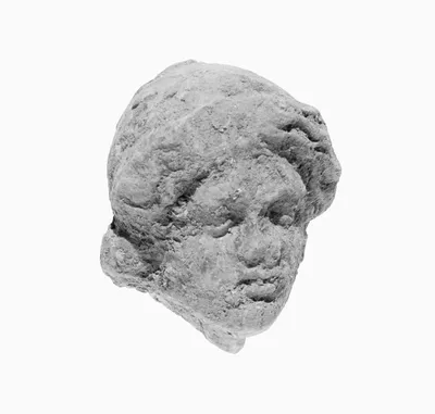 Head of a Boy
