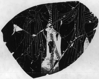 AMPHORA, NECK (?), FRAGMENT (ATHENIAN, BLACK-FIGURE)