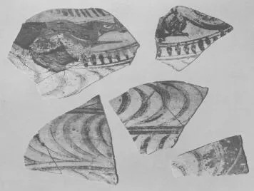 AMPHORA, BELLY, FRAGMENTS (EAST GREEK, FIKELLURA)