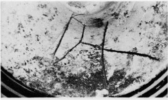 AMPHORA, NECK (ATHENIAN, BLACK-FIGURE)