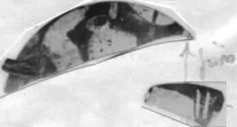 CUP, FRAGMENTS (ATHENIAN, RED-FIGURE)