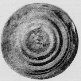 ALABASTRON (CORINTHIAN, BLACK-FIGURE)