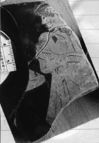 CUP, FRAGMENT (ATHENIAN, RED-FIGURE)