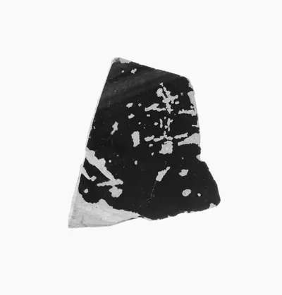 Attic Black-Figure Amphora Fragment