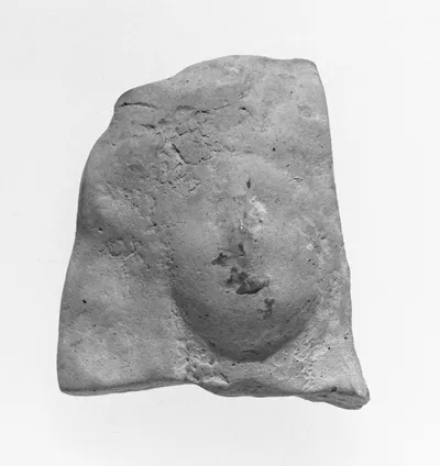 Female Head