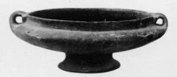 CUP (VEIAN)