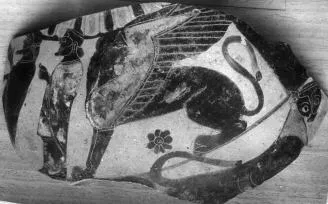 HYDRIA, FRAGMENTS (ATHENIAN, BLACK-FIGURE)