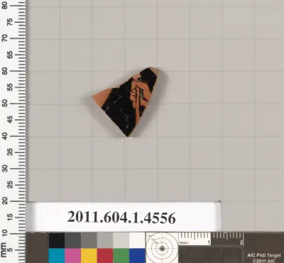 Terracotta fragment of a kylix (drinking cup)