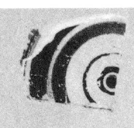 SKYPHOS, FRAGMENT (CORINTHIAN)