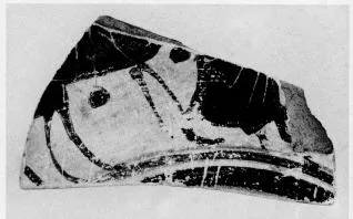 CUP, FRAGMENT (ATHENIAN, BLACK-FIGURE)