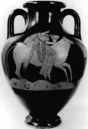AMPHORA, BELLY, TYPE C (ATHENIAN, RED-FIGURE)