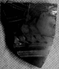 SKYPHOS, FRAGMENT (ATHENIAN, BLACK-FIGURE)