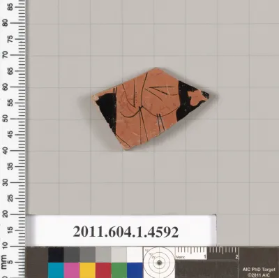 Terracotta fragment of a kylix (drinking cup)