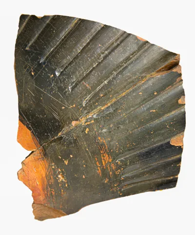 Volute-krater fragment